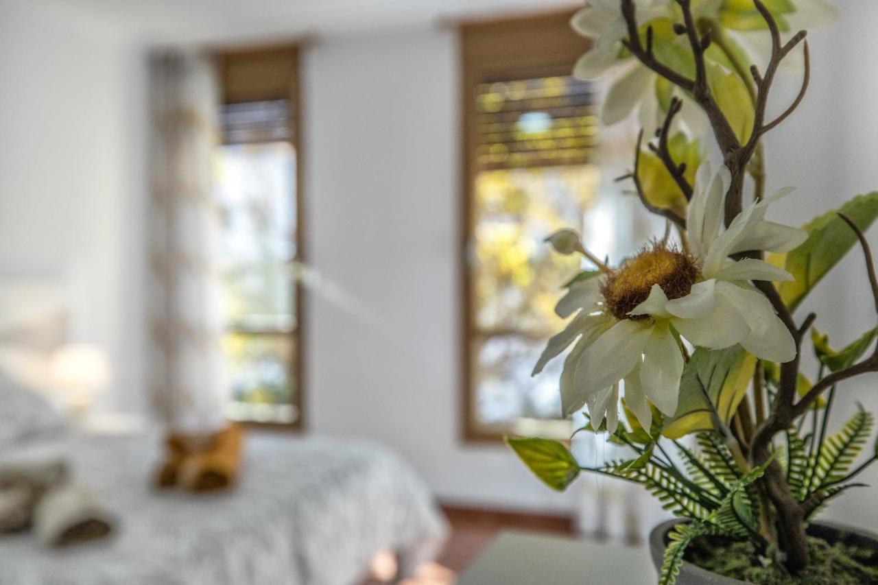 La Perla Del Centro Apartment กอร์โดบา ภายนอก รูปภาพ